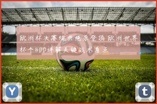 欧洲杯决赛瑞典绝杀登顶 欧洲世界杯个app详解关键战术看点