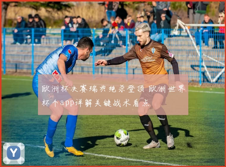 欧洲杯决赛瑞典绝杀登顶 欧洲世界杯个app详解关键战术看点