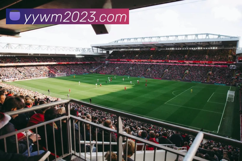 星空体育·星空官方网站 - 星空online(中国)品牌故事