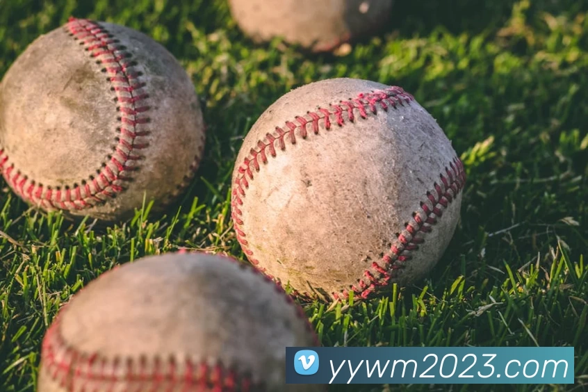 星空体育·星空官方网站 - 星空online(中国)服务体系